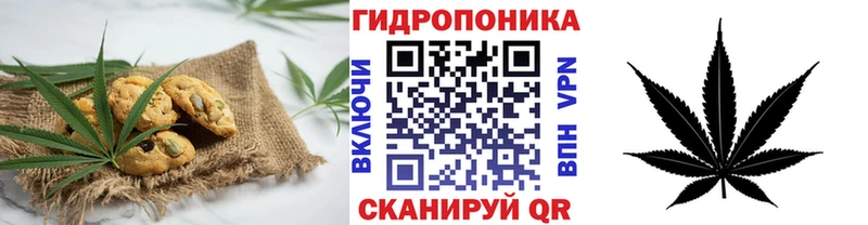 Купить закладки  Армавир  Печенье с ТГК конопля 