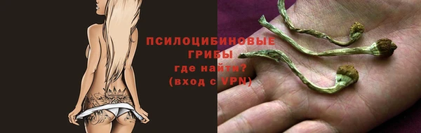 мяу мяу мука Куйбышев