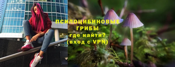 стаф Краснотурьинск