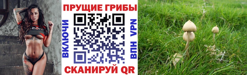 Галлюциногенные грибы прущие грибы  Купить где  Армавир 